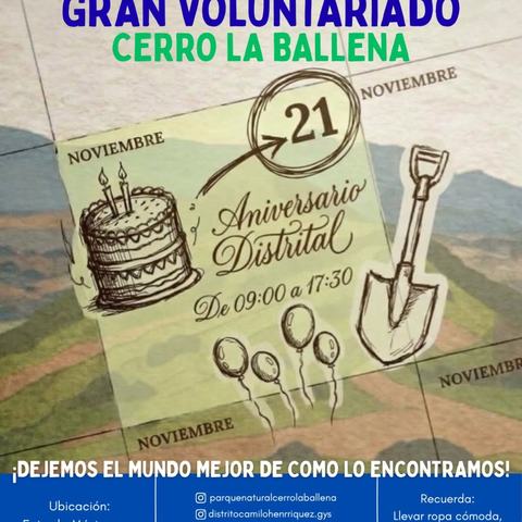 Voluntariado Reforestación Cerro La Ballena