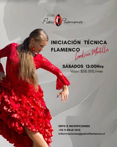 Curso Iniciación Técnica Flamenco