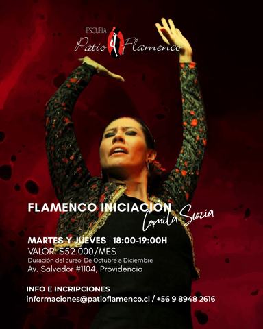 Curso de Iniciación al Baile Flamenco