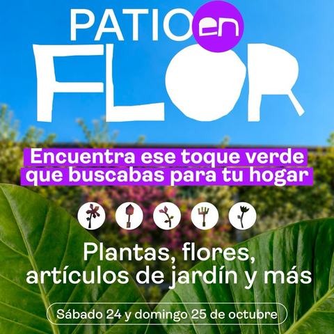 Patio en Flor