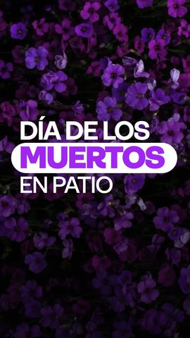 Día de los Muertos en Patio Bellavista