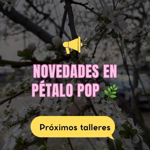 Taller: Saga ACOTAR