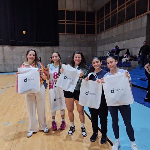 Liga A1 de Volley La Pintana