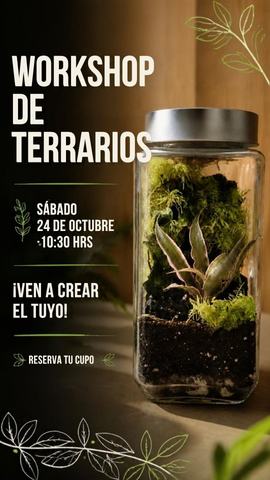 Terrarium Workshop