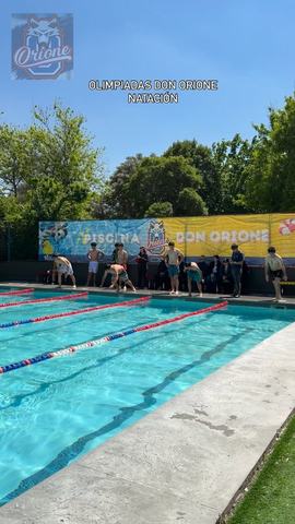 Don Orione Olympics Swimming