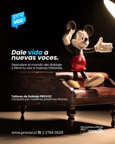 PROVOZ Dubbing Workshops