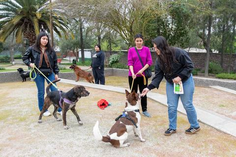 Voluntariado Apadrinamiento Mascotas
