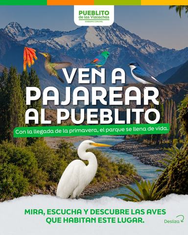Pajareo en el Pueblito