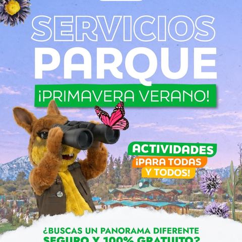 Vivero