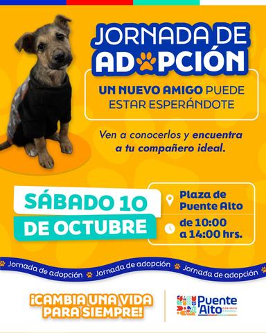 Jornada de Adopción de Mascotas