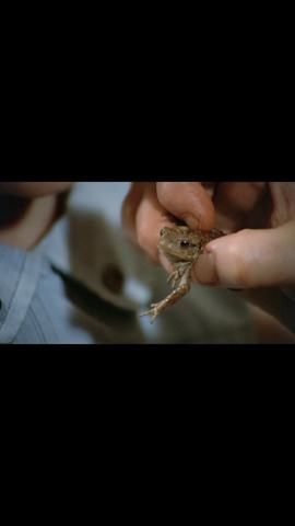 The Wicker Man - Cine R