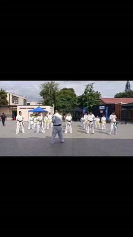 Clases de Artes Marciales Dojo Raionzu