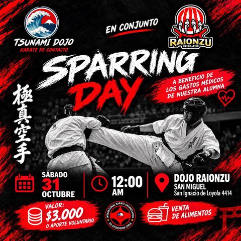 Sparring Day Solidario Tsunami y Raionzu Dojo