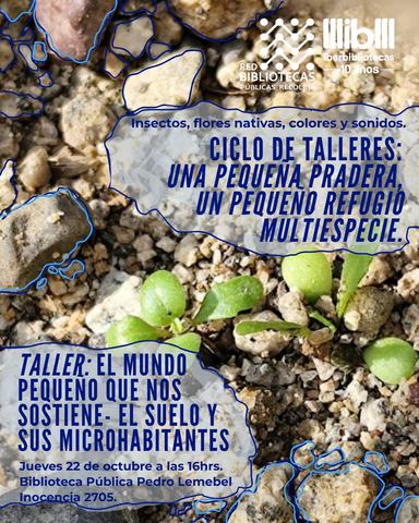 Taller El mundo pequeño que nos sostiene