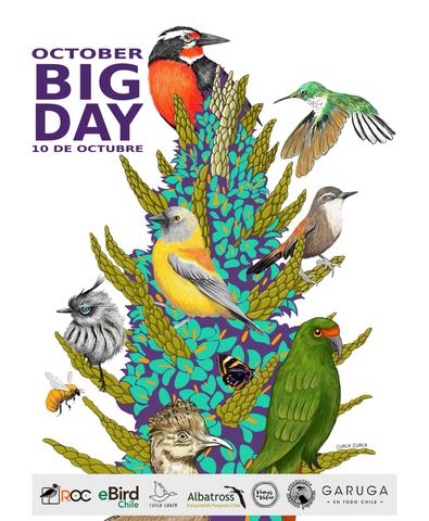 October Big Day