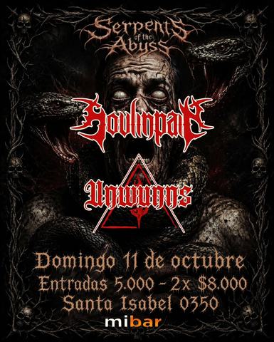 Concierto Soulfinpa y Unwunns en Mi Bar