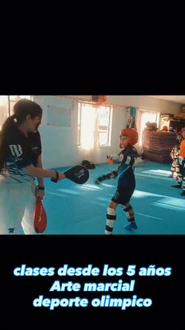 Clases de Taekwondo Rott Tkd Stgo Centro
