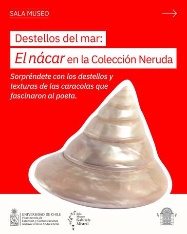 Mollusca. Poesía de Caracolas
