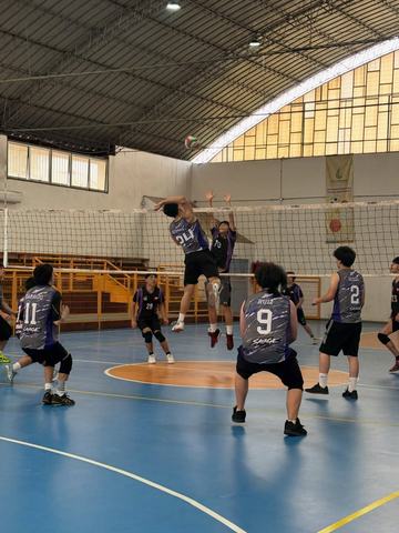 Partidos de Vóleibol SAVAGE