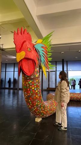Remanencias Locales: Festivales de Fotografía