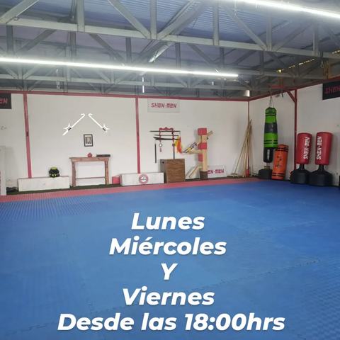 Clases Shen-Ren