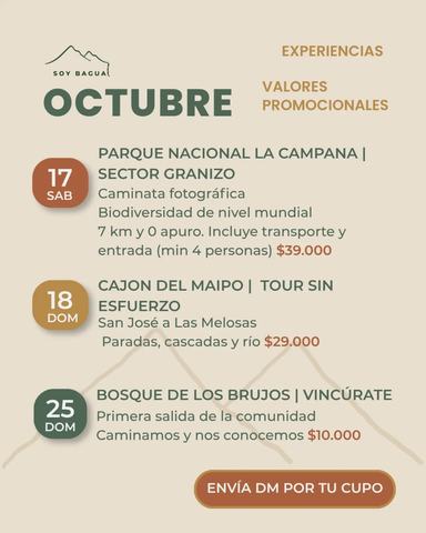 Vincúrate Bosque de los Brujos