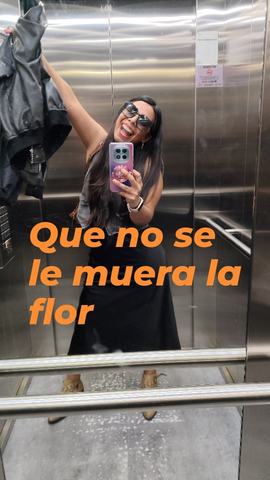 +Ql Clasificatorias Comedia