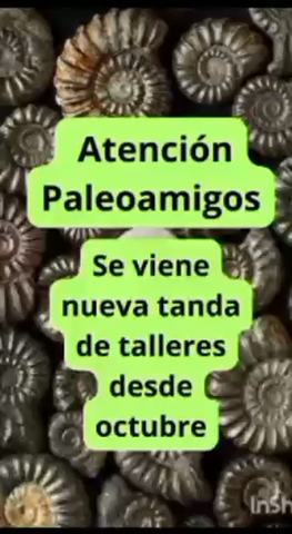 Talleres Paleontología InSh