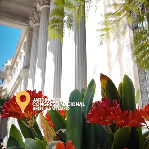 Jardines del Congreso Nacional