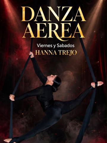 Aerial Dance Classes
