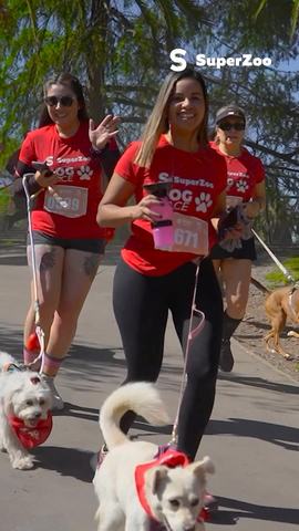 SuperZoo Dog Race