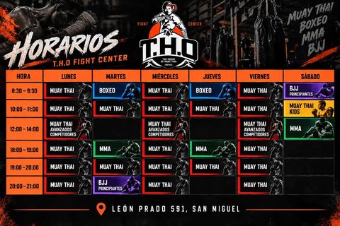 Clases de Artes Marciales en T.H.O Fight Center
