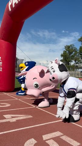 Corrida Talagante 2026