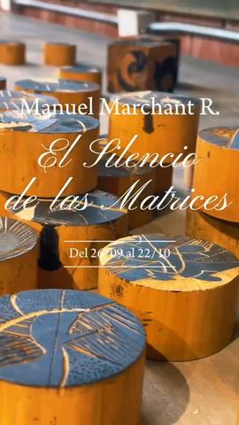 El Silencio de las Matrices