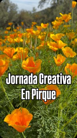 Talleres Creativos en Pirque