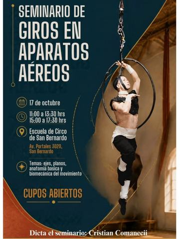Seminario de Giros en Aparatos Aéreos