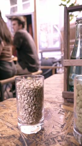 Intrinsical Taproom Craft Beer Workshop