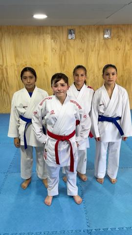 VIII Copa Raion