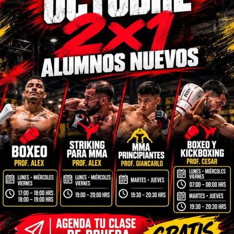Boxeo Prof. Alex