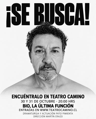 Teatro Camino