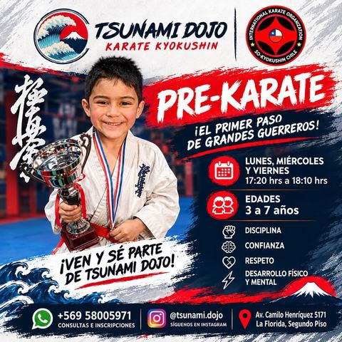 Pre-Karate Tsunami Dojo