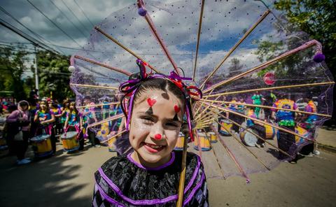 Carnaval de la Palmilla 2026