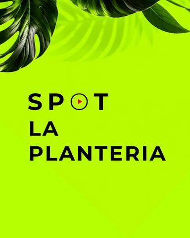 Unísono Beats x Spot La Plantiería