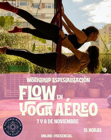 Workshop Flow en Yoga Aéreo