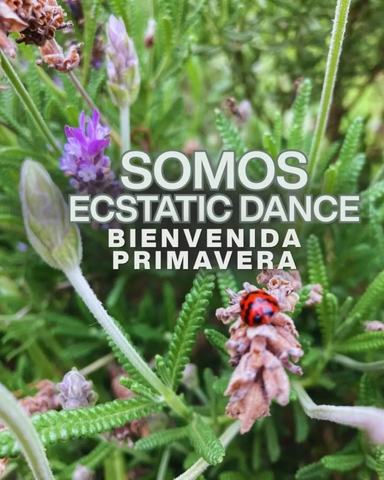 Somos Ecstatic Dance