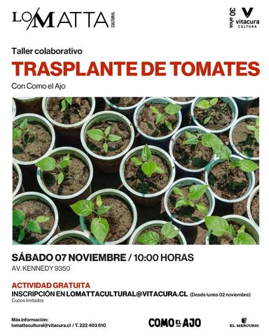 Tomato Transplanting Workshop