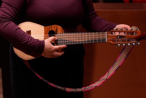 Concierto de Charango