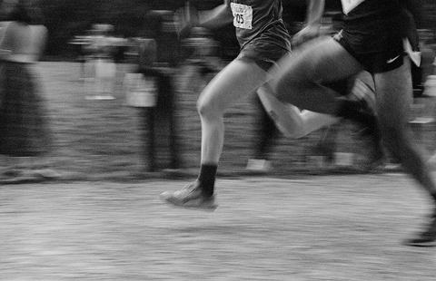 Running Festival By Salcobrand