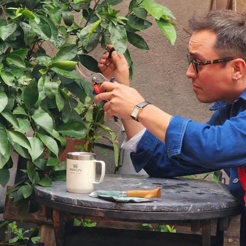 Ciclo talleres de Jardinería: Poda con tus propias manos