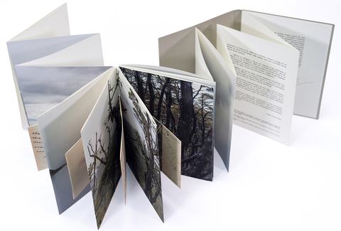 Exhibición de libros Leporello (Acordeón)